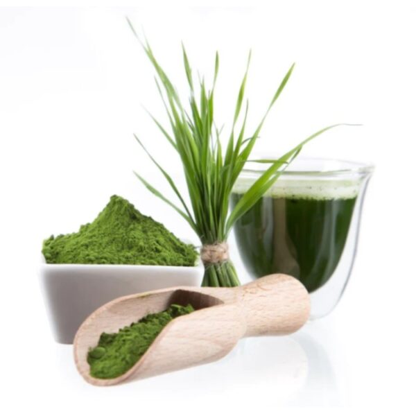 wheat grass juice powder