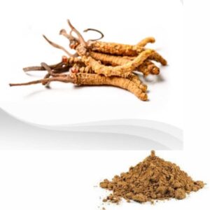 cordyceps sinensis extract / cordyceps militaris extract